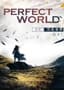 Perfect World