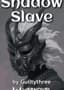 Shadow Slave